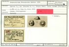 Karteikarte zum Holotyp von Truncatulina trochoidea Karrer, 1878